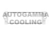 AUTOGAMMA 104436 Intercooler, charger